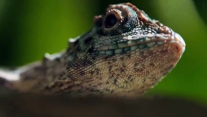 은평출장서비스 은평출장서비스O1OE6683E6402｛카톡GMC3 라인gmc3｝ 은평출장마사지샵 은평출장안마on은평출장안마cos여3♪⇔∃마사지황형♥≟≪