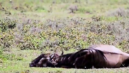 천안추천업소【OI0↔29O8↔68O③】천안추천업소예약♥≉≪