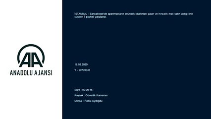 Diafon çalan hırsızlık zanlıları yakalandı - İSTANBUL