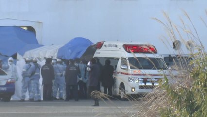 캐나다·홍콩도 전세기 검토...입항 허용 캄보디아 '곤경' / YTN