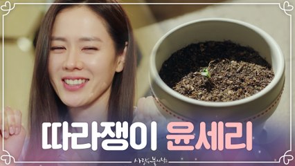 현빈의 선물(?) 화분 키우기 역관광 당하는 손예진 #세리식_예쁜말