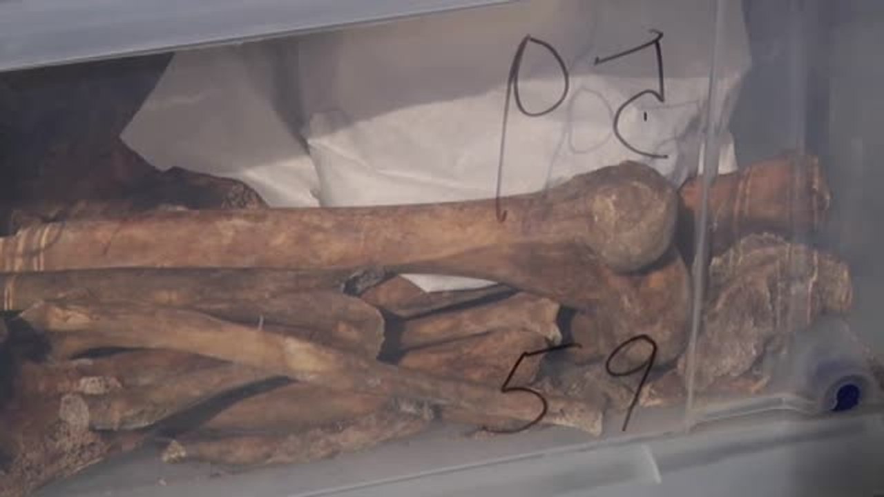 Valladolid da sepultura a los restos de 245 personas víctimas del franquismo