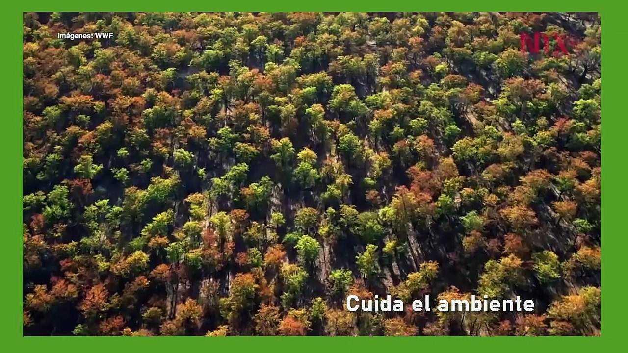 José Simón Elarba Haddad creando conciencia ecológica