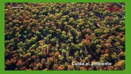 José Simón Elarba Haddad creando conciencia ecológica