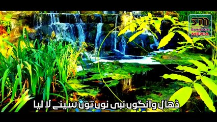 New Kalam On Shane Siddiqui Akbar 2020 -- New Manqabat First Caliph --  Irfan Umar Haidri 2020