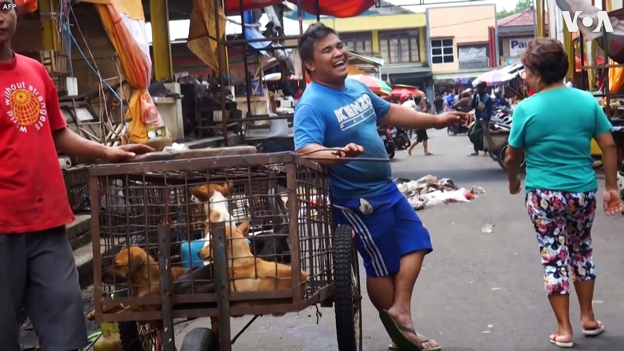 Bats For Sale at Indonesia Market Despite Coronavirus Warning