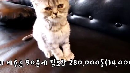 화성출장서비스 화성출장서비스O1OE6683E6402｛카톡GOO56｝ 화성출장마사지샵 화성출장안마on화성출장안마cos여3♪⇔∃마사지황형♥∰≪