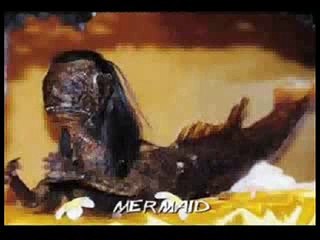 Paranormal creatures