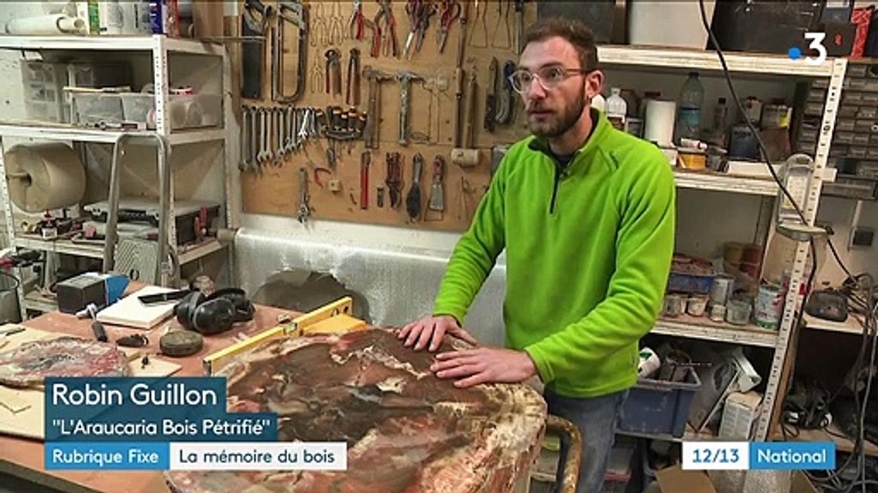 Isère : à la découverte du bois pétrifié