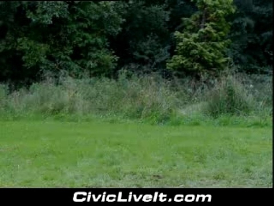 Funny Videos - Granny Gets Pulled By Big Dog (Honda clip)