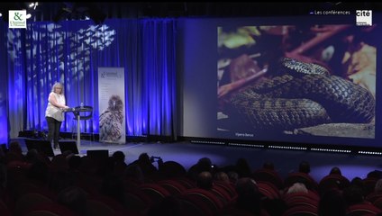 Conférence de Françoise Serre Collet : Fascinants serpents