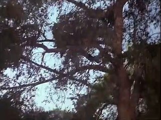 Hot Lead & Cold Feet (1978) – Action Comedy with Twin Brothers 🎬