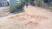 मंदसौर नीमच -राष्ट्रीय स्वयंसेवक संघ का जमुनिया गांव निकाला पथ संचलन