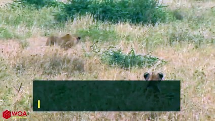 광산출장서비스 광산출장서비스O1Og4832g2166｛카톡BBC42｝ 광산출장마사지샵 광산출장안마on광산출장안마cos여3♪⇔∃마사지황형♥⊃≪