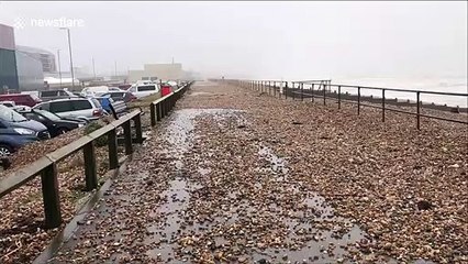 Surfers near Brighton on England's south coast catch some huge waves during Storm Dennis