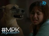 #MPK: A dog that saves his disabled owner | Magpakailanman