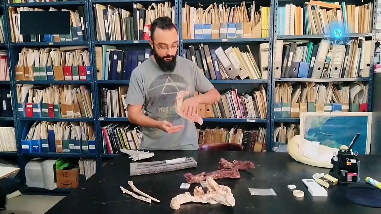 Paleontologists Discover New Species of Abelisaurid Dinosaur