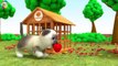 Learn Colors Cartoon Gorilla Milk Bottle Feeding Puppy Cartoon learning 3D video for Children