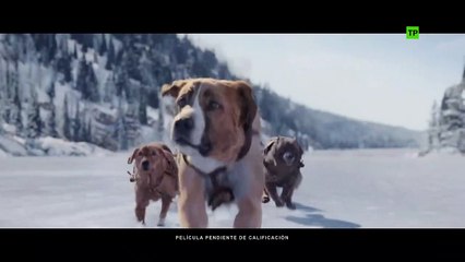 LA LLAMADA DE LO SALVAJE - Clip de la Película  - Avalancha