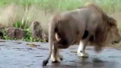 합천출장서비스 합천출장서비스O1OE9914E7203｛카톡MOK8｝ 합천출장마사지샵 합천출장안마on합천출장안마cos여3♪⇔∃마사지황형♥≧≪