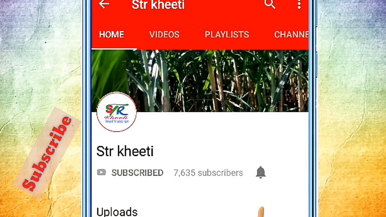 What_are_the_ways_to_clean_#weeds_in_#wheat__गेहूँ_में_खरपतवार_नस्ट_करने_के_तरीके_कौन_से_हैं_(1080p)