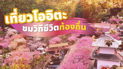 บุกเที่ยวโออิตะ ญี่ปุ่น ชมวิถีชีวิตท้องถิ่นแบบเรียบง่าย