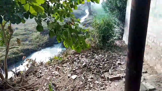 Most Beautiful Natural Village Of Punjab ❤ Village Life In Pakistan ❤ Pakistani Food Recipes