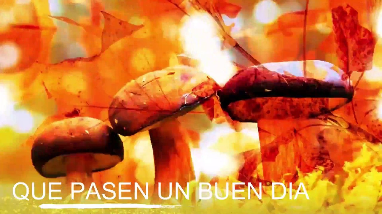 Conoce El Tiempo de Hoy Lunes 17 de Febrero de 2020