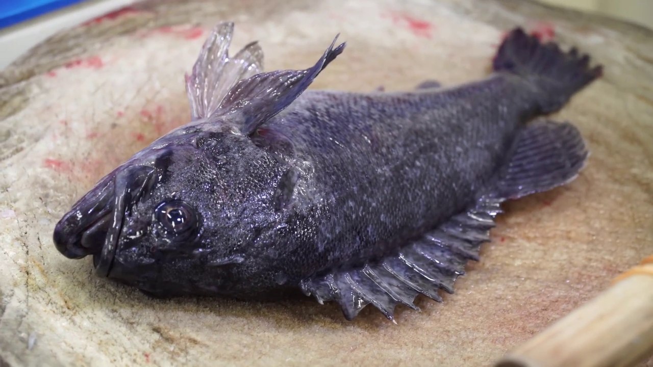 Rockfish Sashimi and Assorted Seafood Sashimi Abalone Korean Seafood