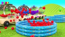 Learn Colors With Animal - BiBi Kids and his sister have fun play with a lot of rainbow ball in pool and jumping humorous