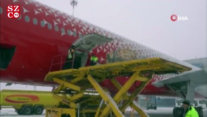 Vücudunda tümör bulunan leopar ameliyat için Moskova'ya götürüldü