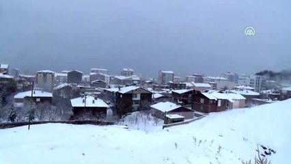 Ahlat'ta kar yağışı