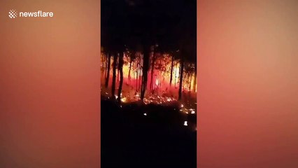 Fire allegedly caused by 'discarded cigarette' ravages national park in northern Thailand