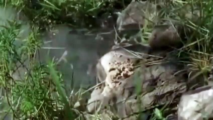 영덕추천업소【OI0↔29O8↔68O③】영덕추천업소예약♥∓≪