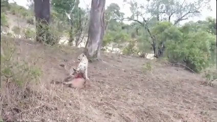 영덕출장서비스 영덕출장서비스O1Og2143g9131｛카톡VAS66｝ 영덕출장마사지샵 영덕출장안마on영덕출장안마cos여3♪⇔∃마사지황형♥≠≪