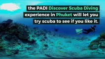 Discover Scuba Diving Phuket |  66 076 383 011 | aussiediversphuket.com