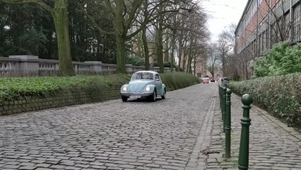 Love Bugs Parade à Bruxelles