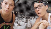 Estas mujeres rechazan la esclavitud a la que son sometidas... las gallinas