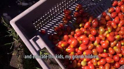 All You Need to Know About Organic Farming