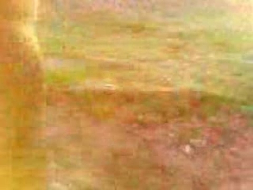 Tir
