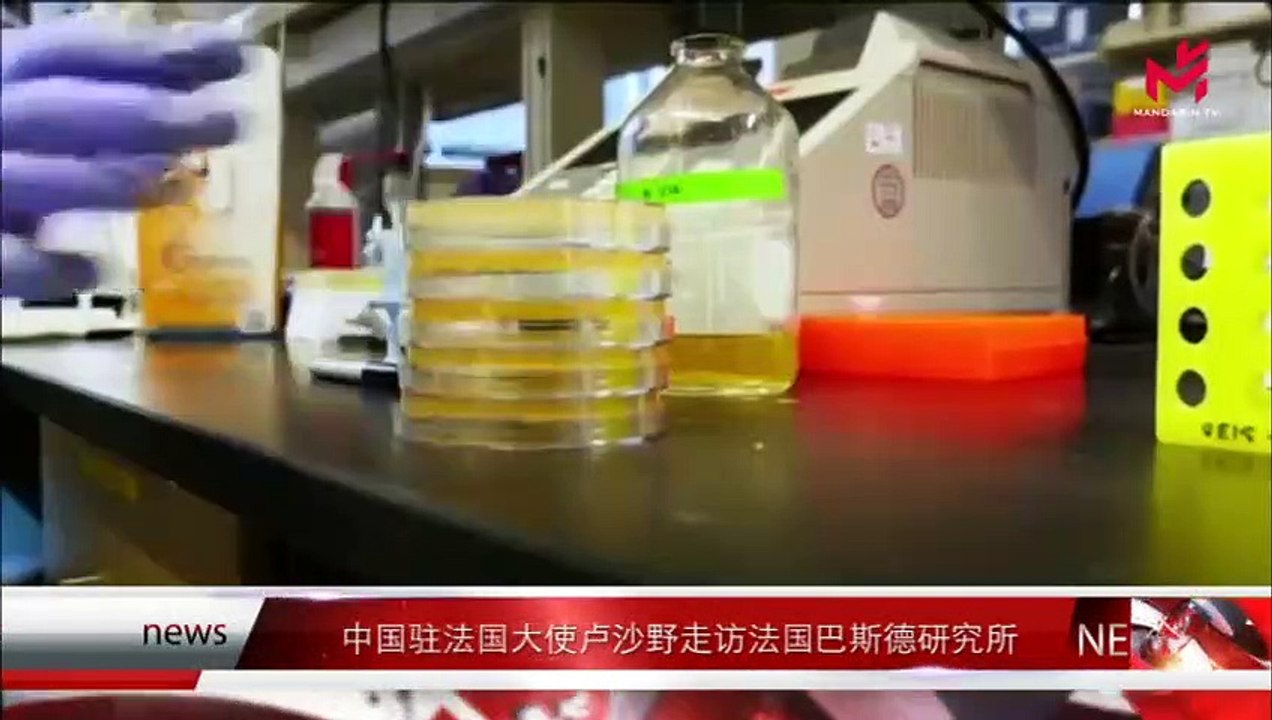 【News Express 时事快讯 】17/02/2020
