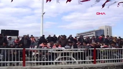 Nazilli'de deve güreşi heyecanı