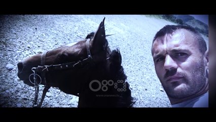 360 Gradë - Krimet në Shkodër 2018 - 2019