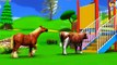 Learn Colors With Animal - Farm Animals Babies Find Mom Videos for Kids at Outdoor Playground Amusement Park