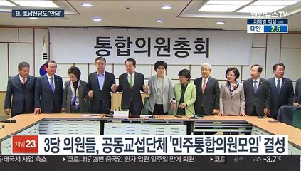 손학규 "호남신당은 구태"…호남 3당 통합 찬물