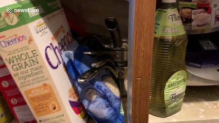 'Everything is absolutely ruined': Welsh woman documents aftermath caused by Storm Dennis flooding