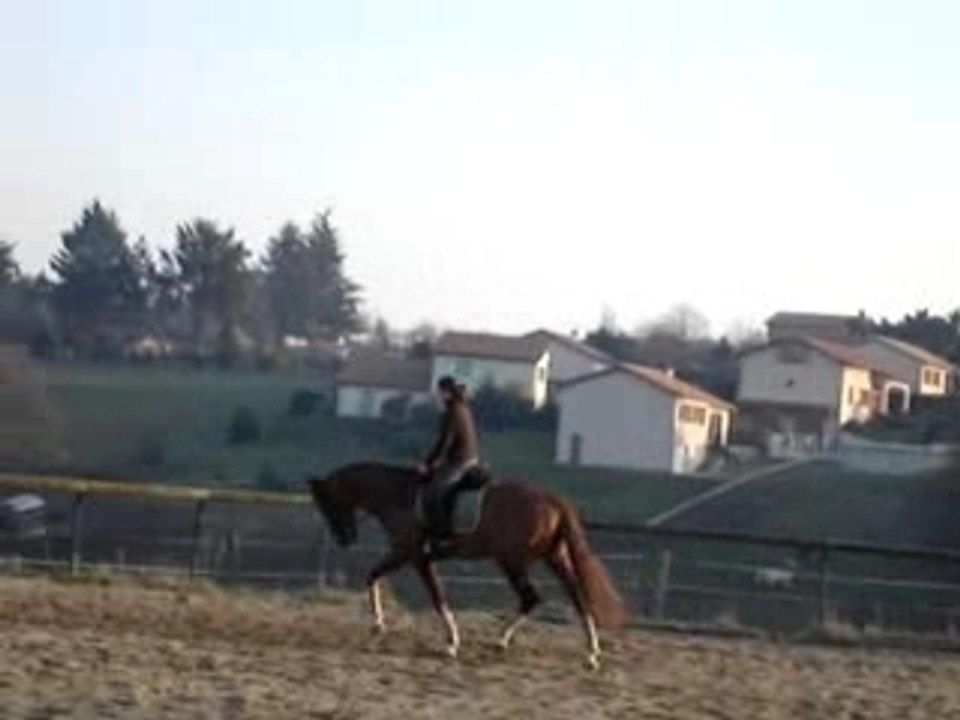 MOV02350