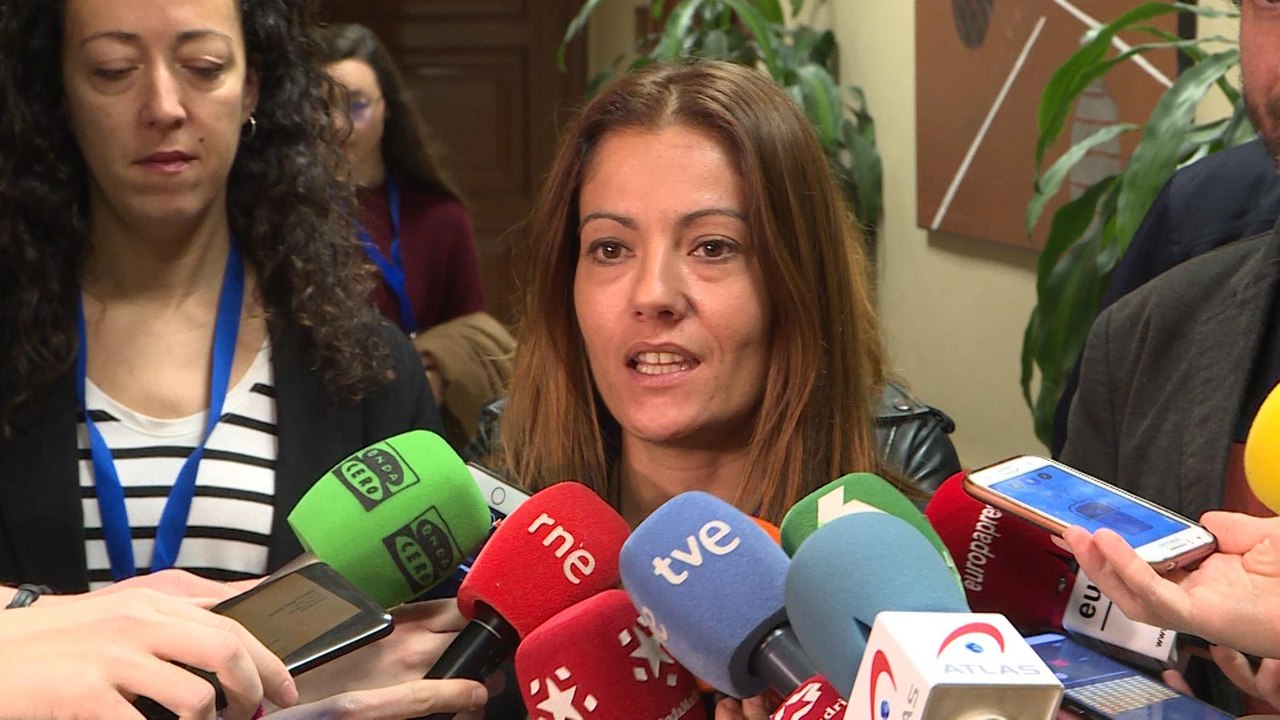 Arasanz: "Simplemente pedimos que se cumpla la legislación española"