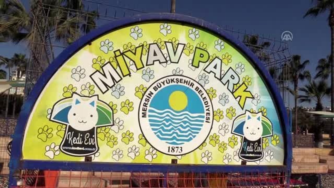Vatandaşlar "Dünya Kediler Günü"nde Miyav Park'ı ziyaret etti
