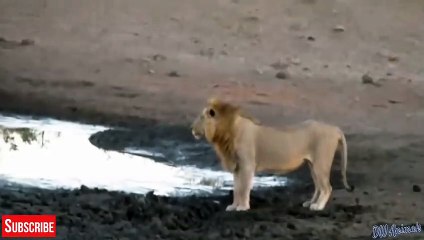 남원출장서비스 남원출장서비스O1Og4838g4959｛카톡SBS52 라인VPN58｝ 남원출장마사지샵 남원출장안마on남원출장안마cos여3♪⇔∃마사지황형♥◆≪